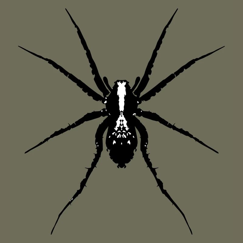 Spider / Wolf Spider