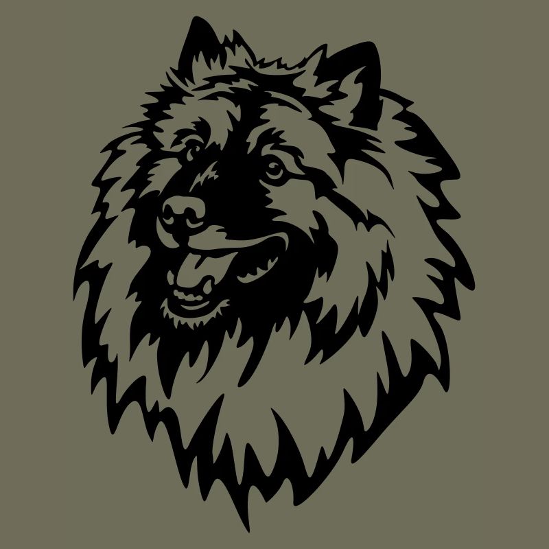 Wolfsspitz Kopf