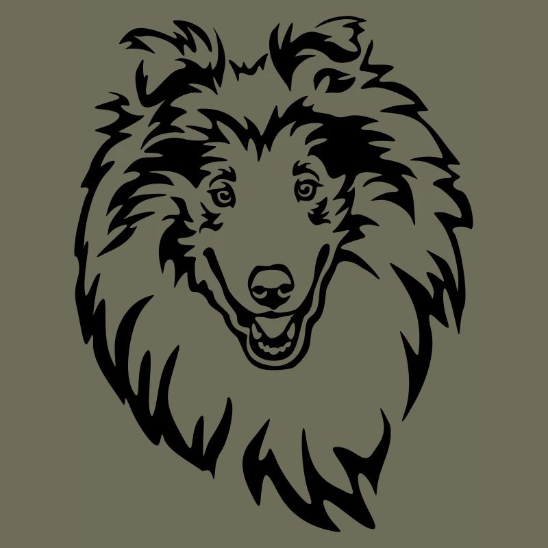 Collie Kopf