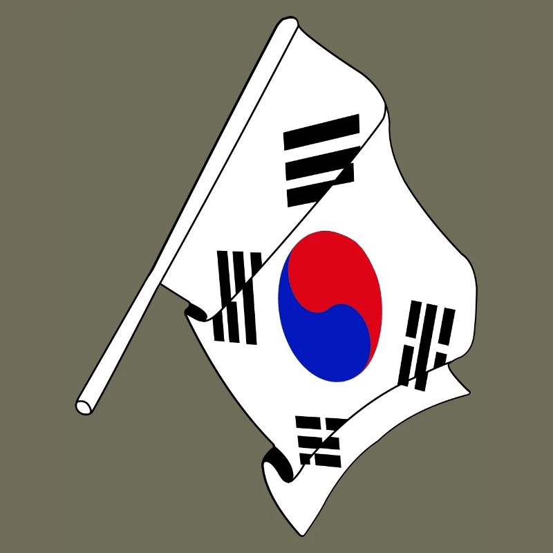 Drapeau de la Corée du Sud