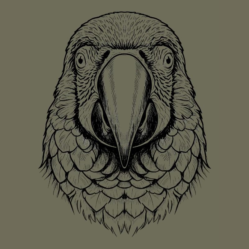 Macaw Parrot