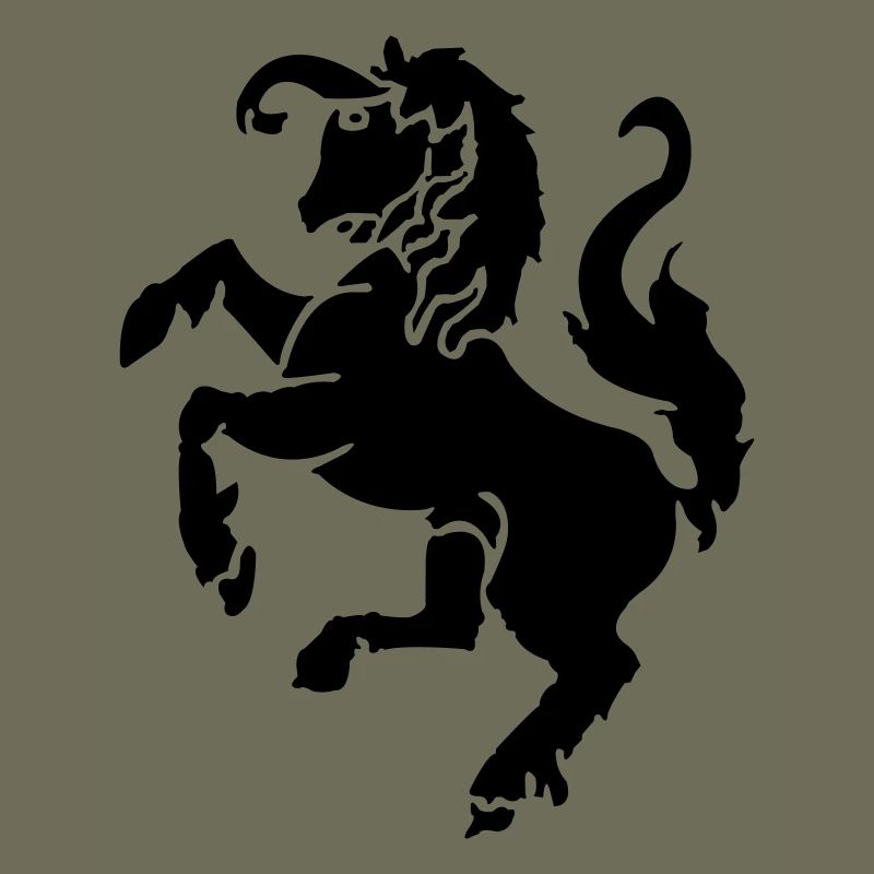 Drapeau Twente