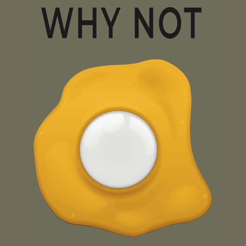 Why Not Rethinking Fried Eggs