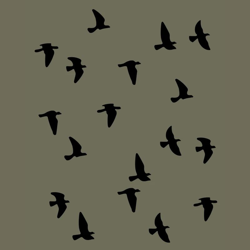 Bird Flock