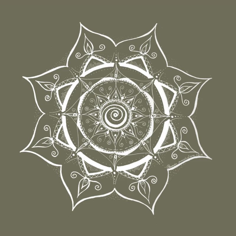 Conception de toile d’araignée Mandala