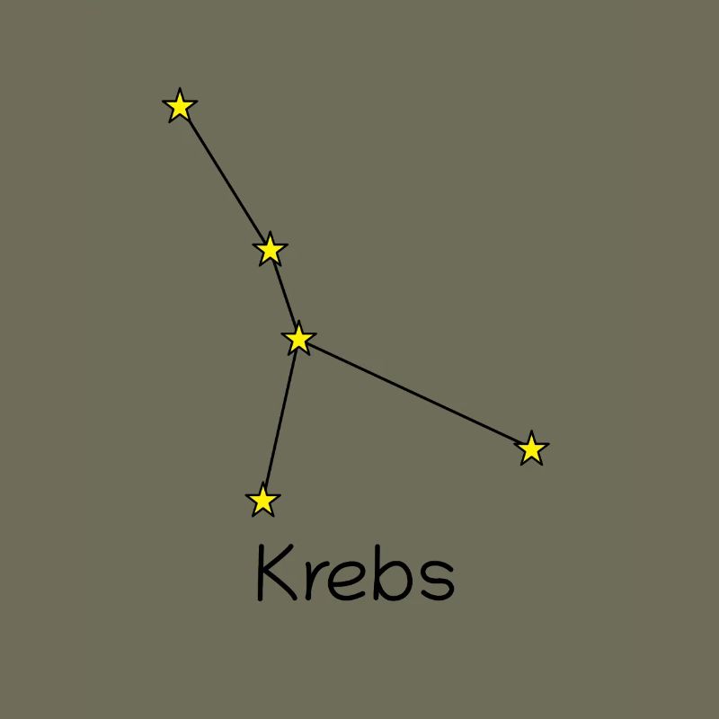 Sternzeichen Krebs