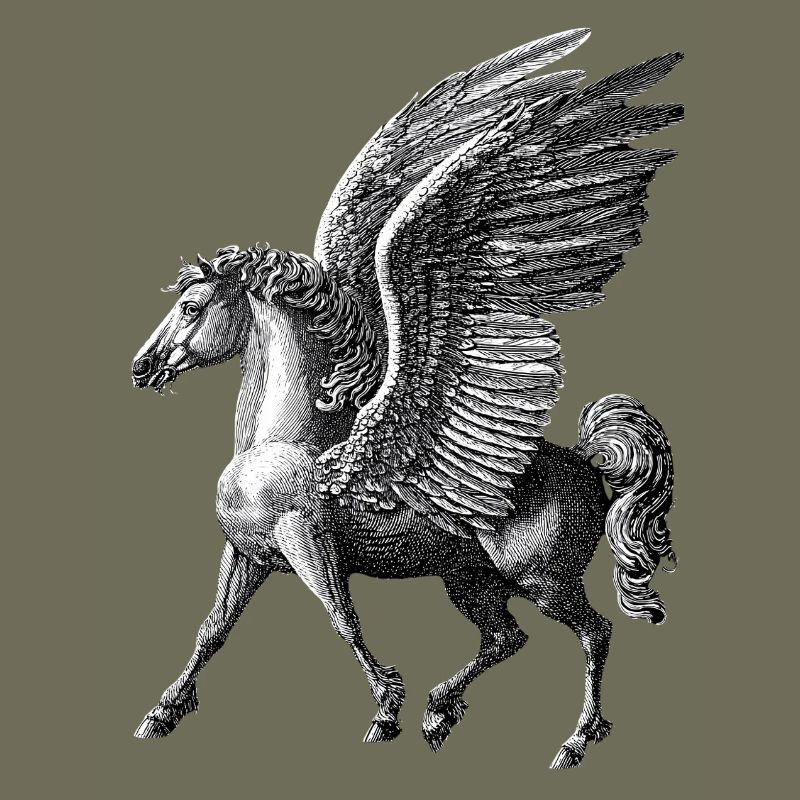 Winged Pegasus – Mythological Engraving