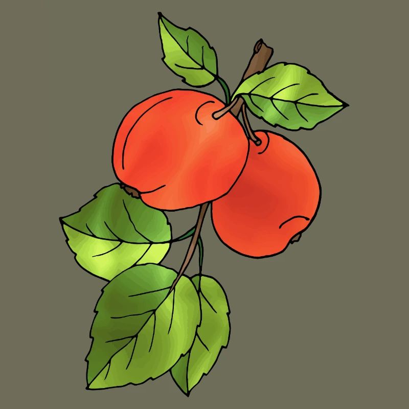 Apples