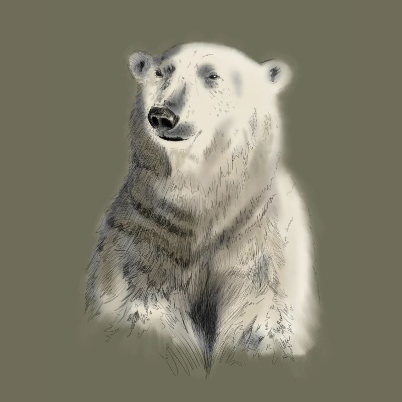 Eisbär