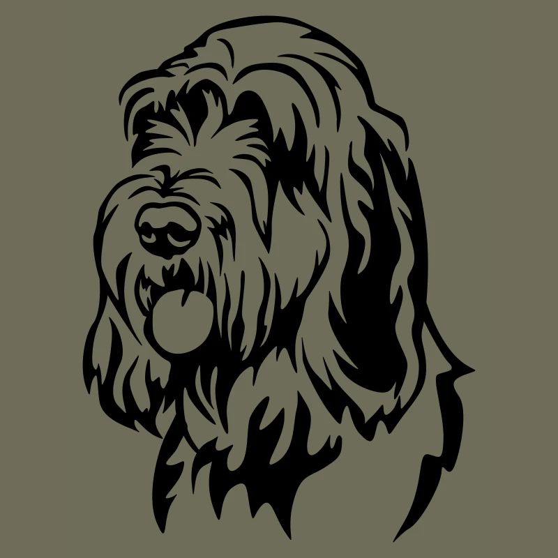 Spinone Italiano Kopf