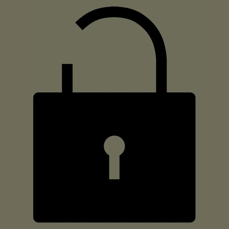 No security no security open lock lock