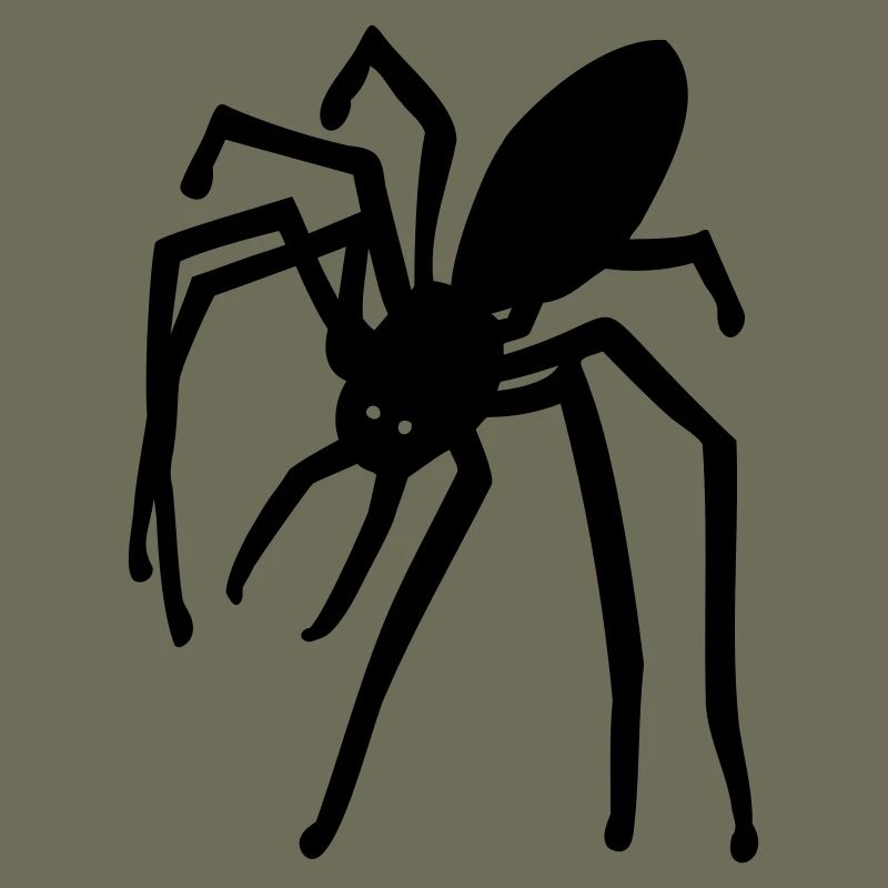 spider