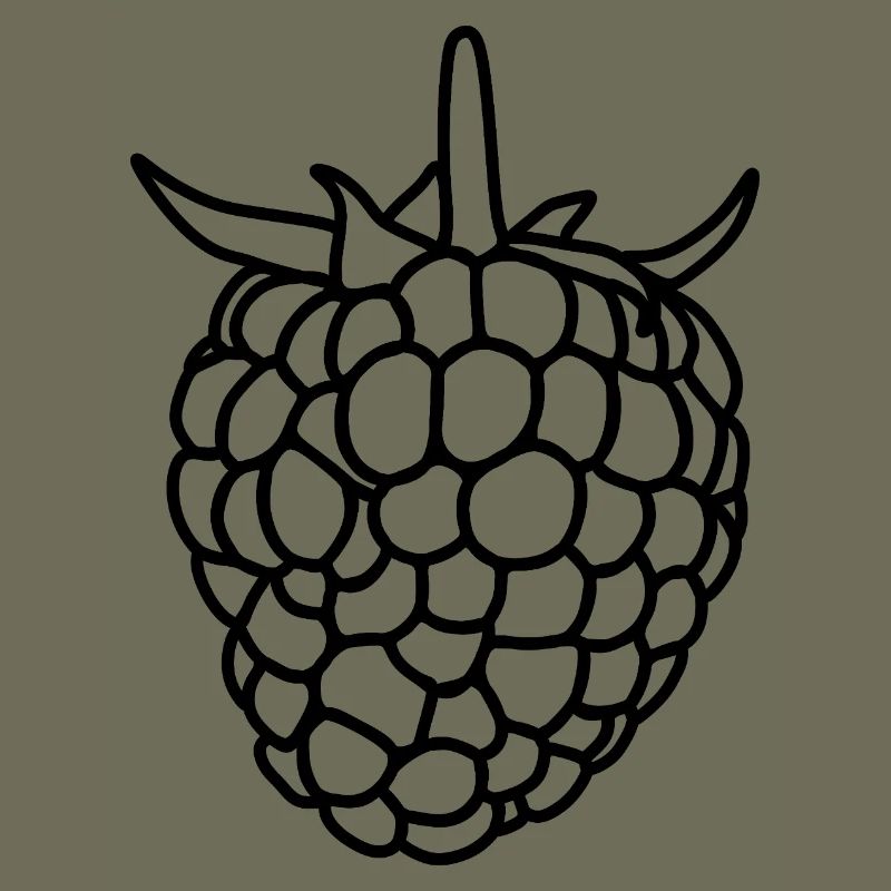 Raspberry Silhouette