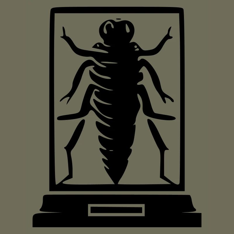 Insect Museum