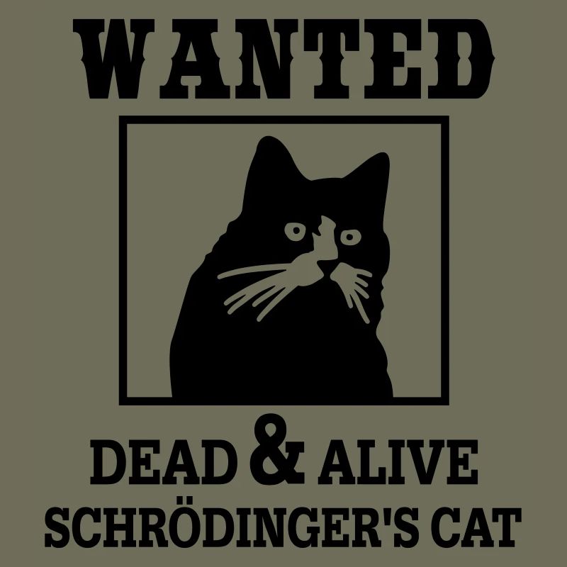Schrödingers Katze gesucht, Nerdiges Quantenphysik