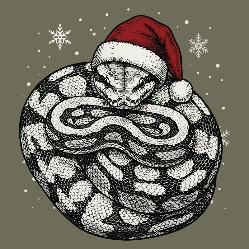 Serpent roi python roi de Noël Python boule