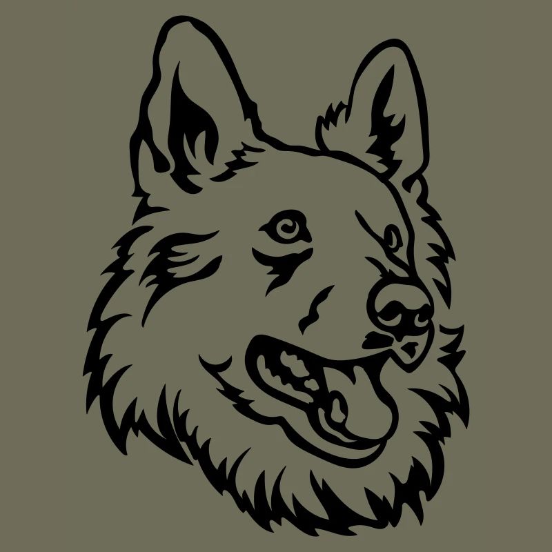 Swiss Shepherd Head
