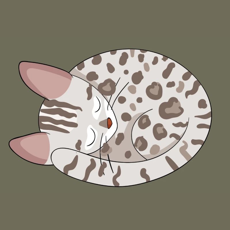 Chat de Bengale Chat