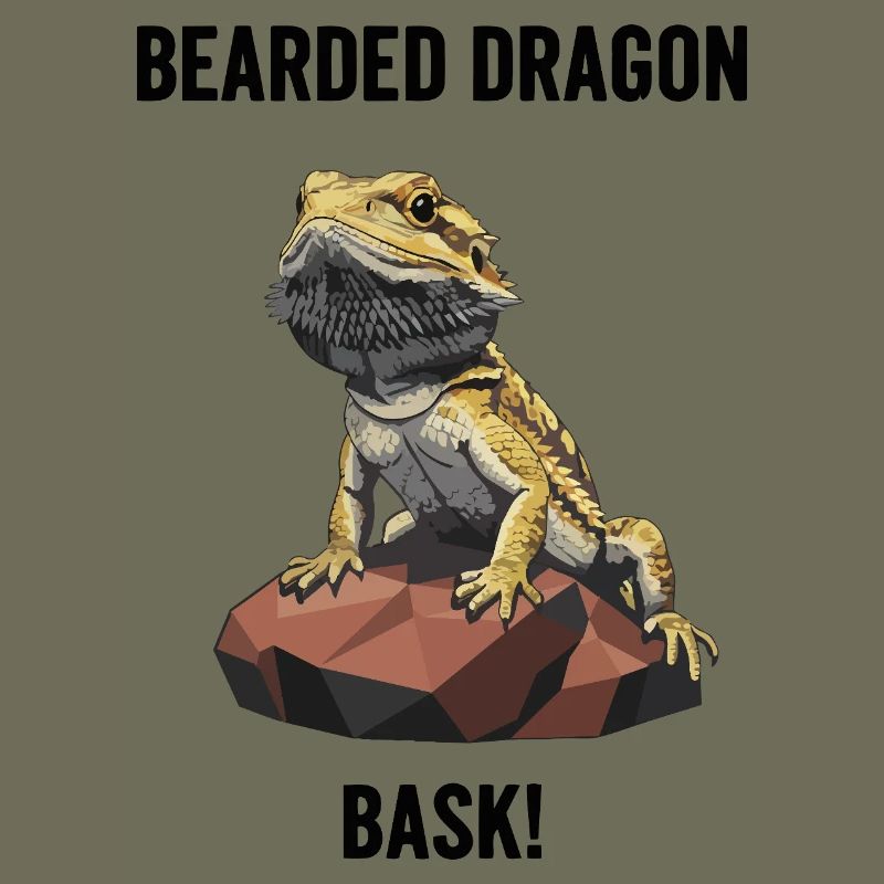 Agame Bearded Lizard Bask Bearded Dragon