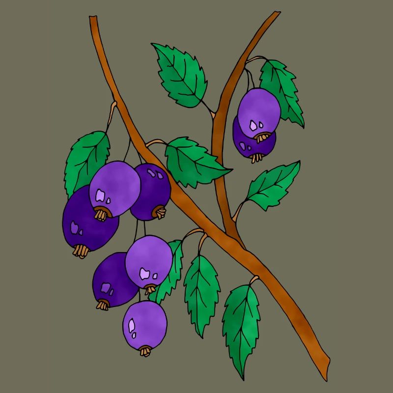 Pflaumen