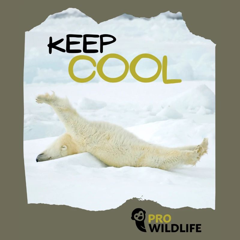KEEP COOL Eisbär