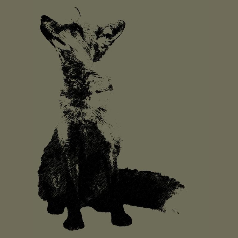 fuchs