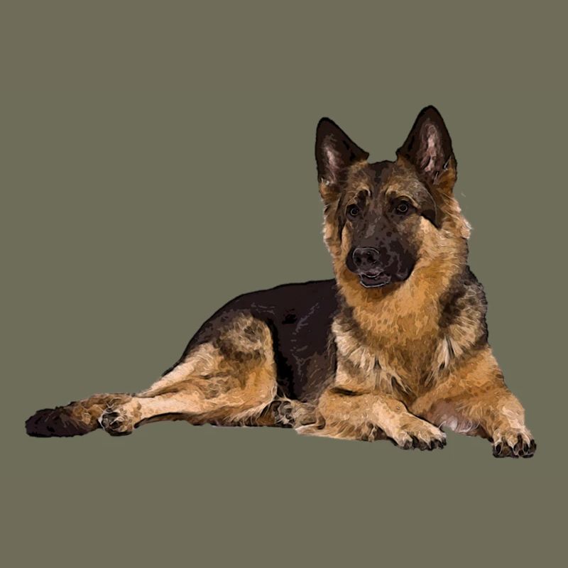 Deutscher Schäferhund