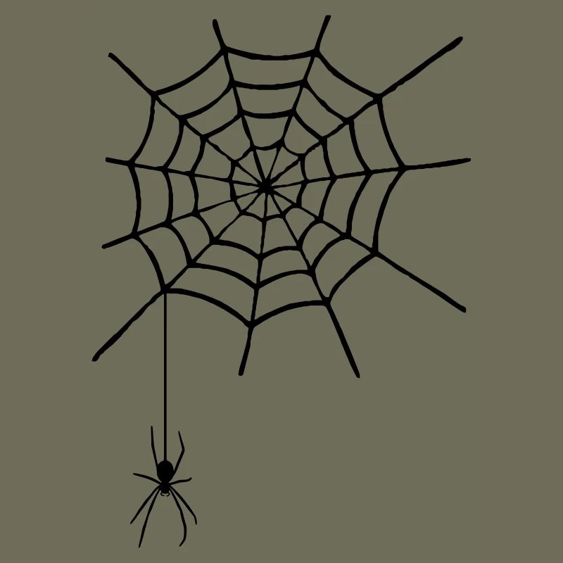 Cobweb with spider