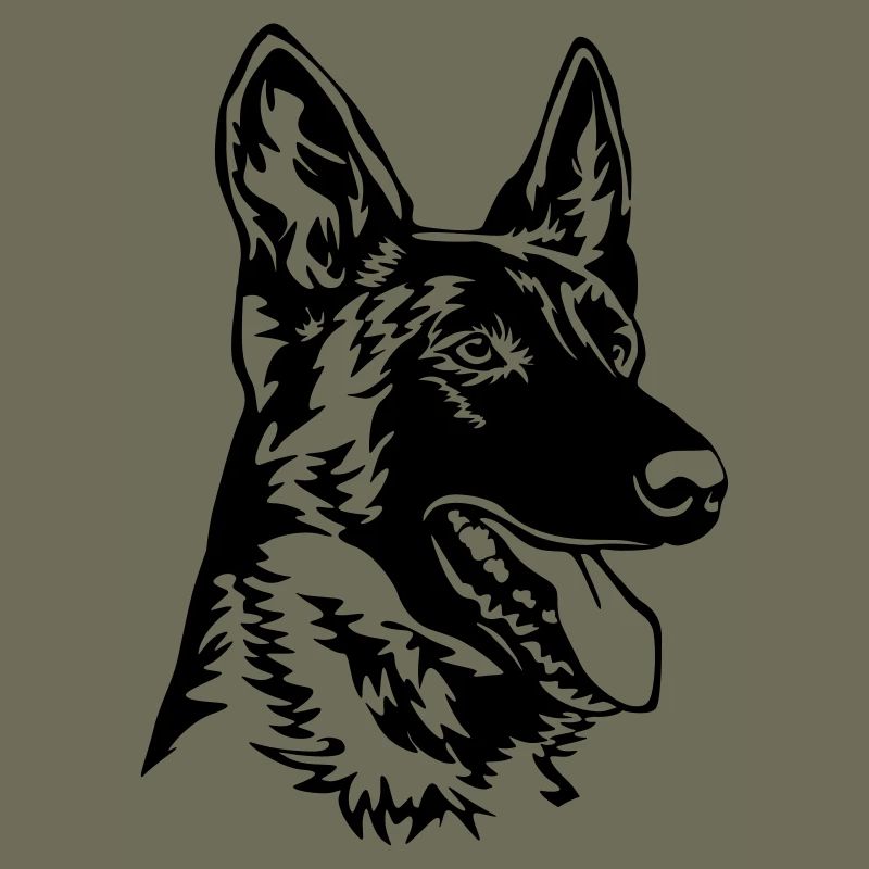 Hollandse Herder Kopf