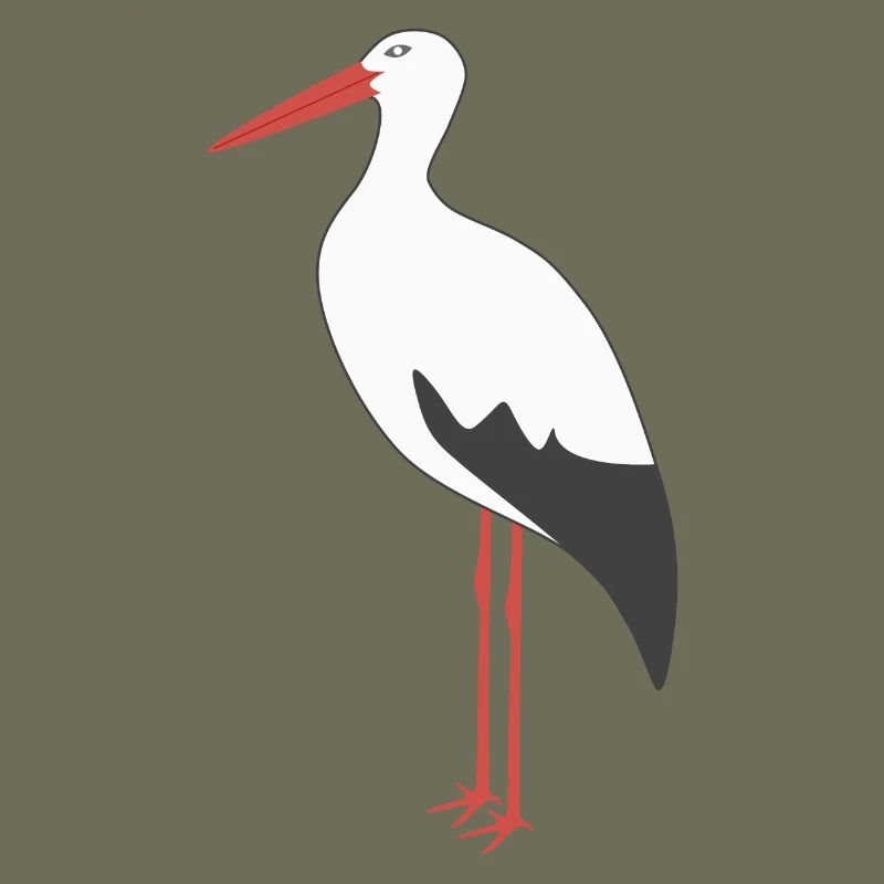 Weißstorch
