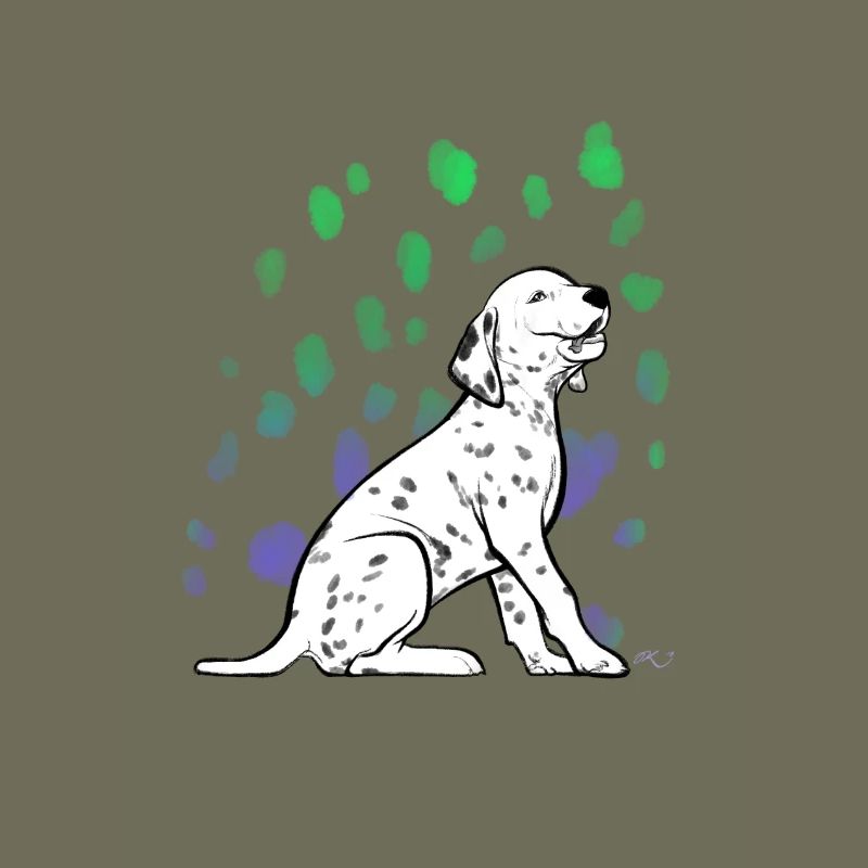 Dalmatian puppy