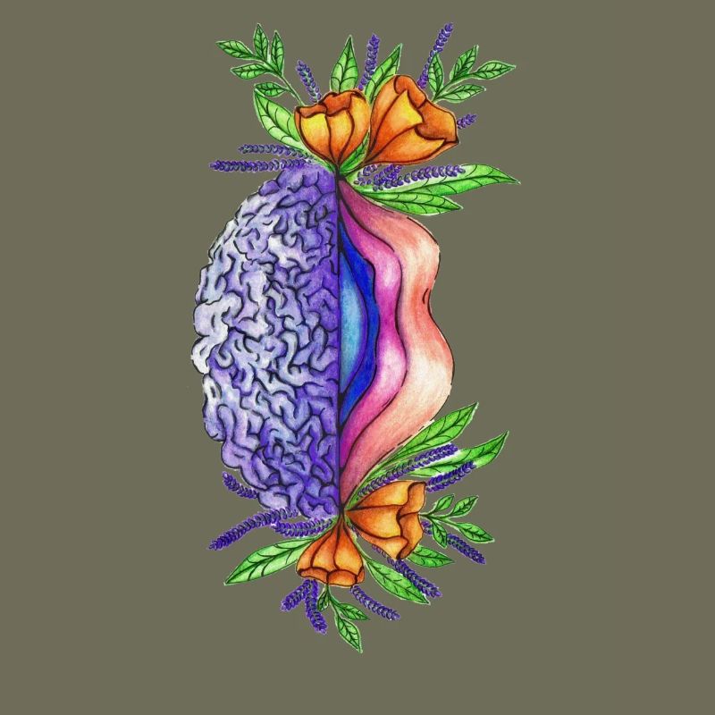 Vulva Brain