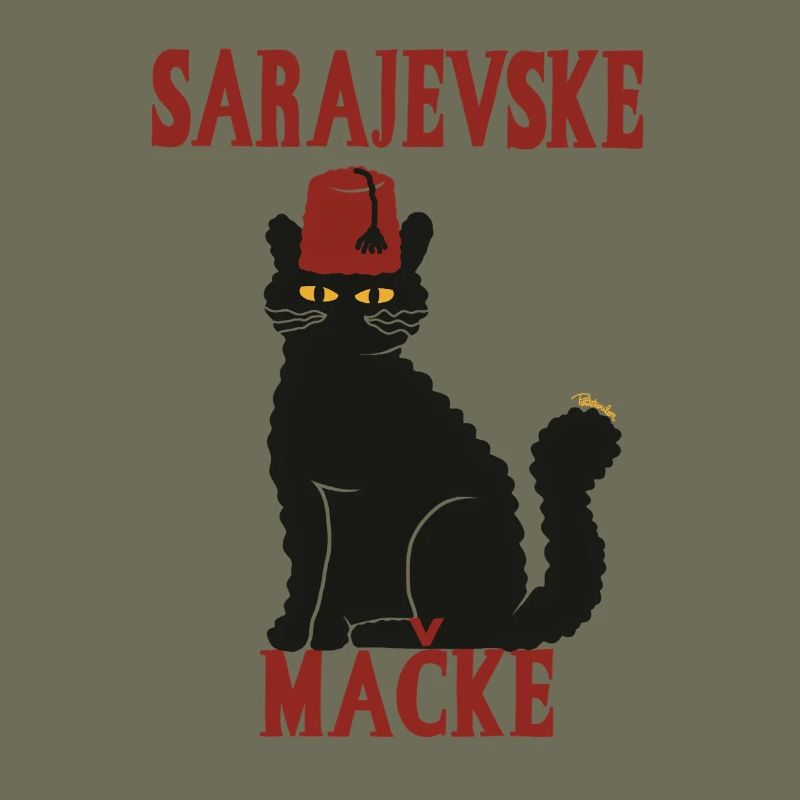 Chat Sarajevo Fez