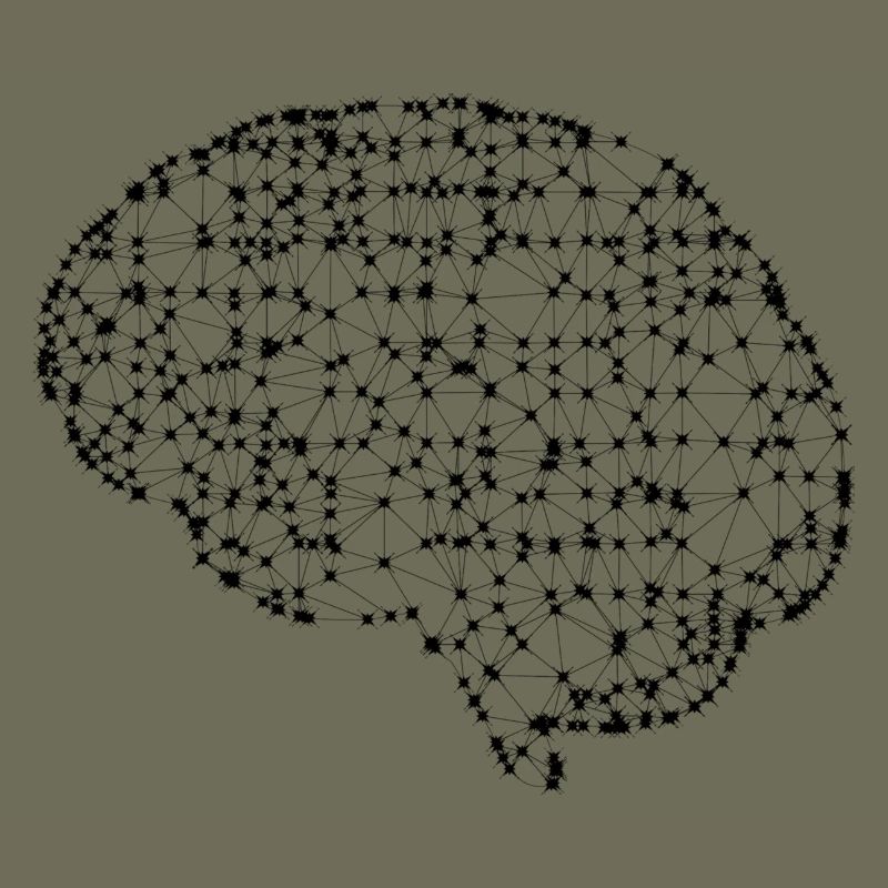 Brain