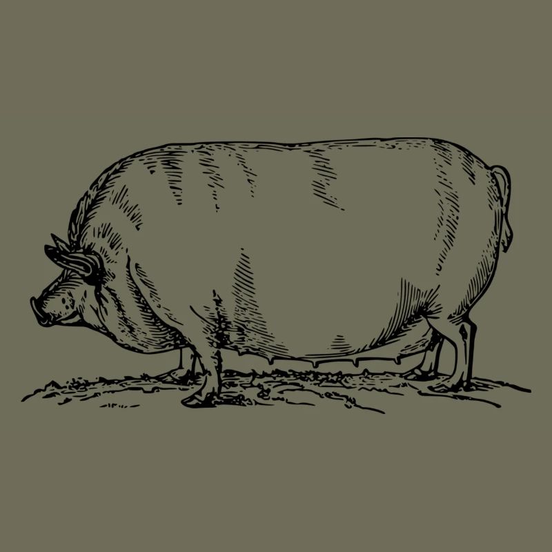 Sau