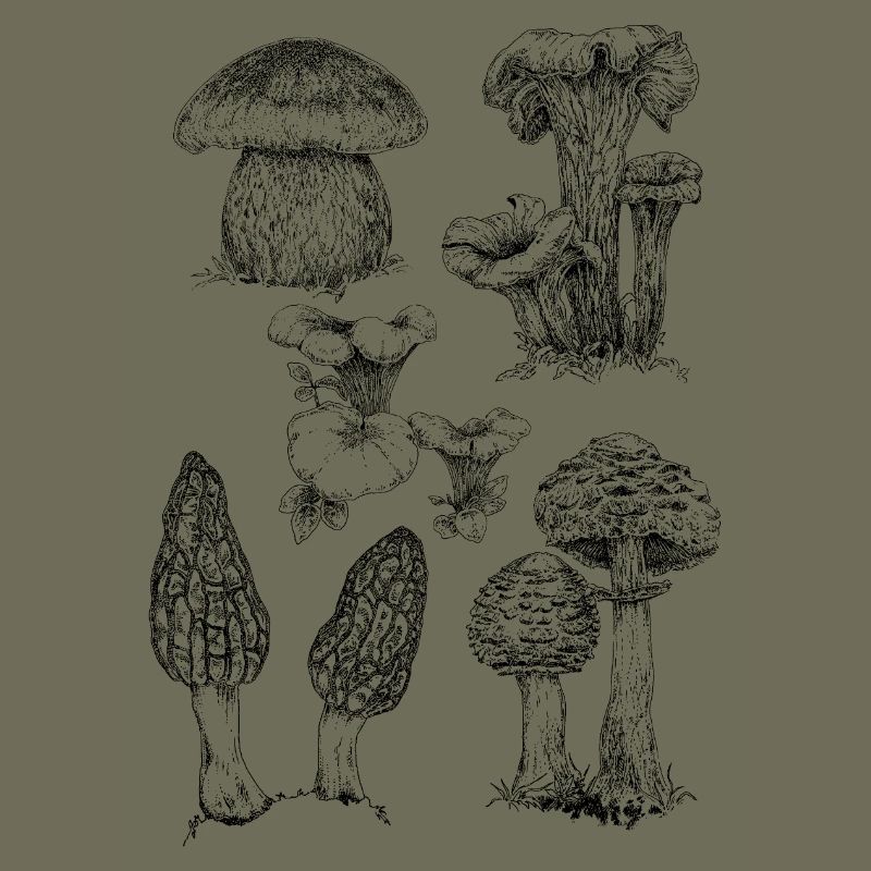 Champignons