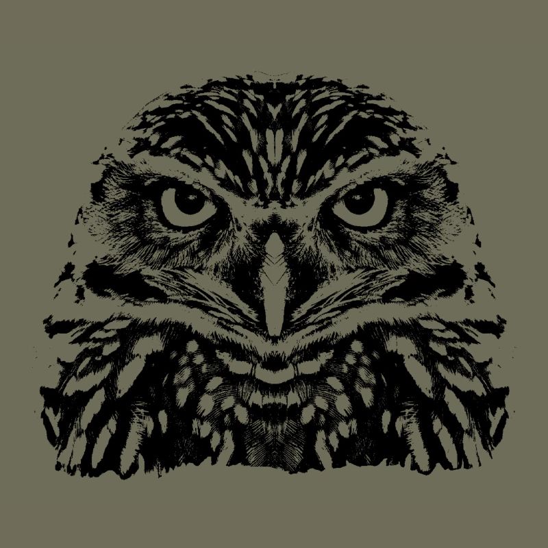 Die Eule / The Owl