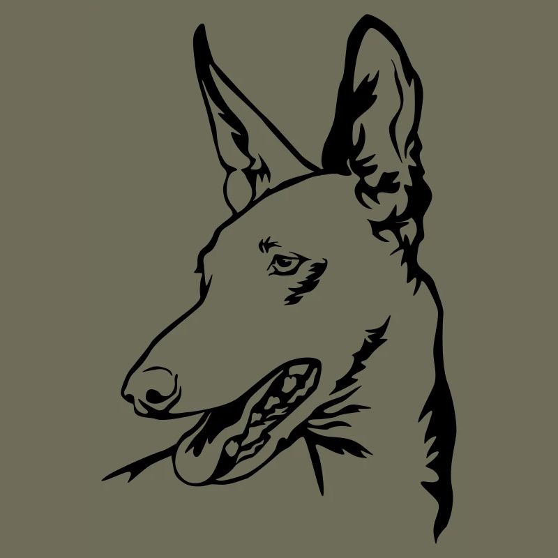 Podenco head