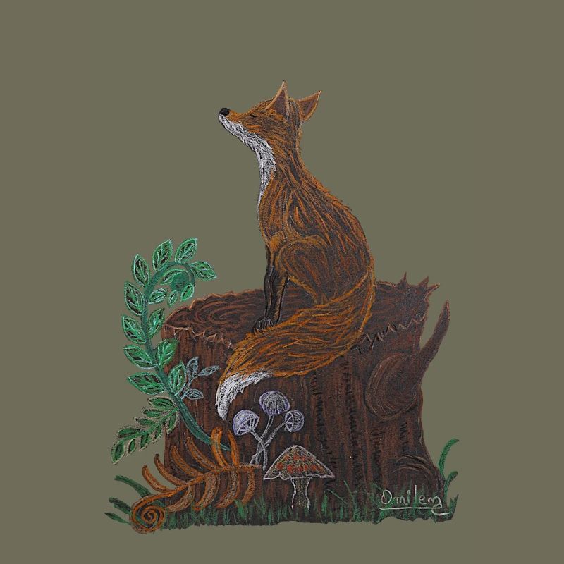 meditative fox