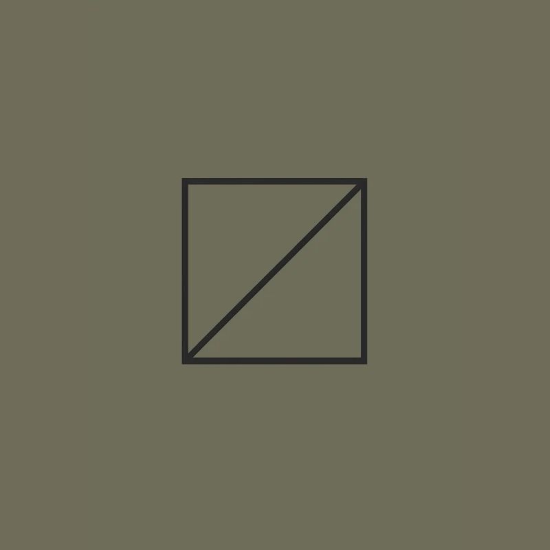 Geometry Lines in a Square