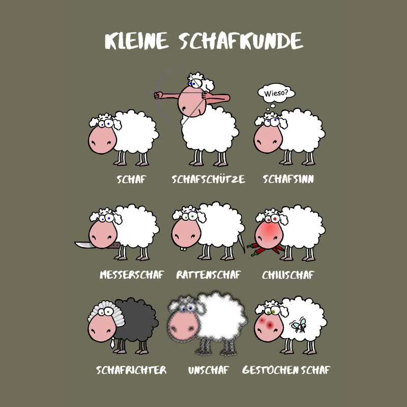 Kleine Schafkunde