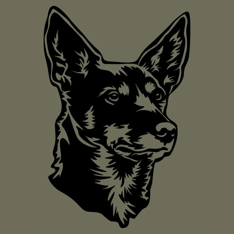 Australian Kelpie Kopf