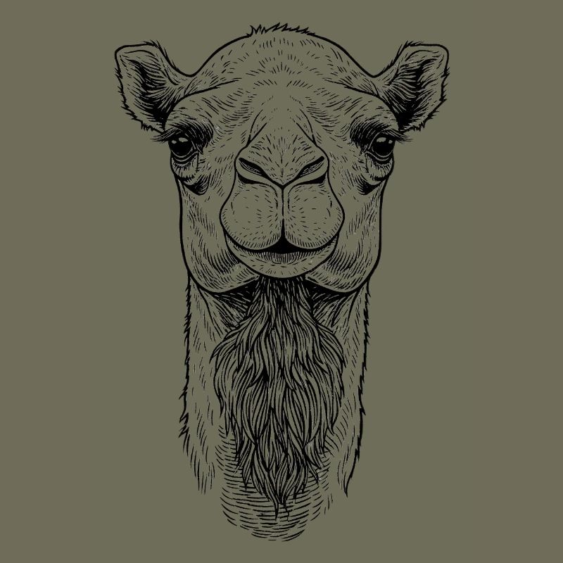 Kamel