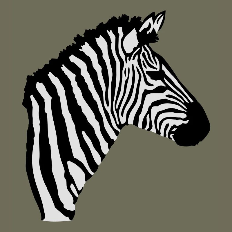 Zebra Kopf