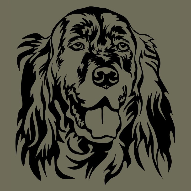 Tête de setter anglais