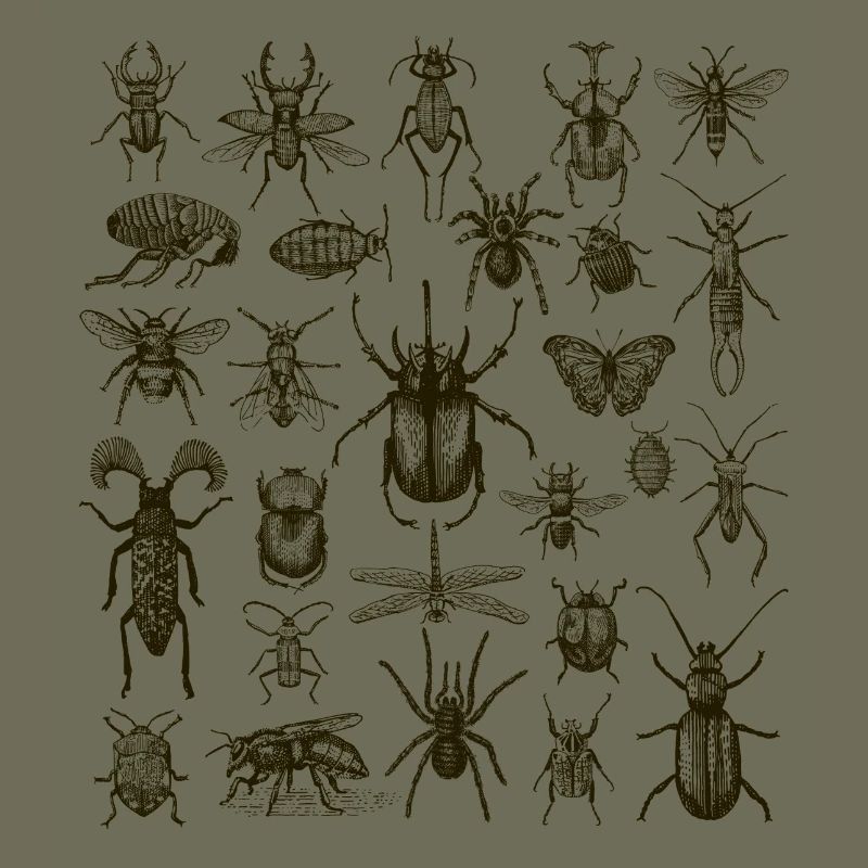 Insect Lover, Bug Enthusiast