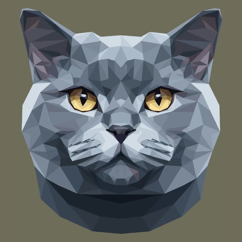 British Shorthair Chat BKH Chat Maman Chats Mignons