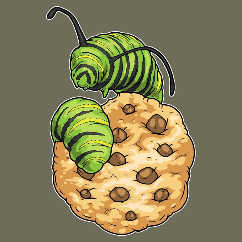 Biscuit chenille