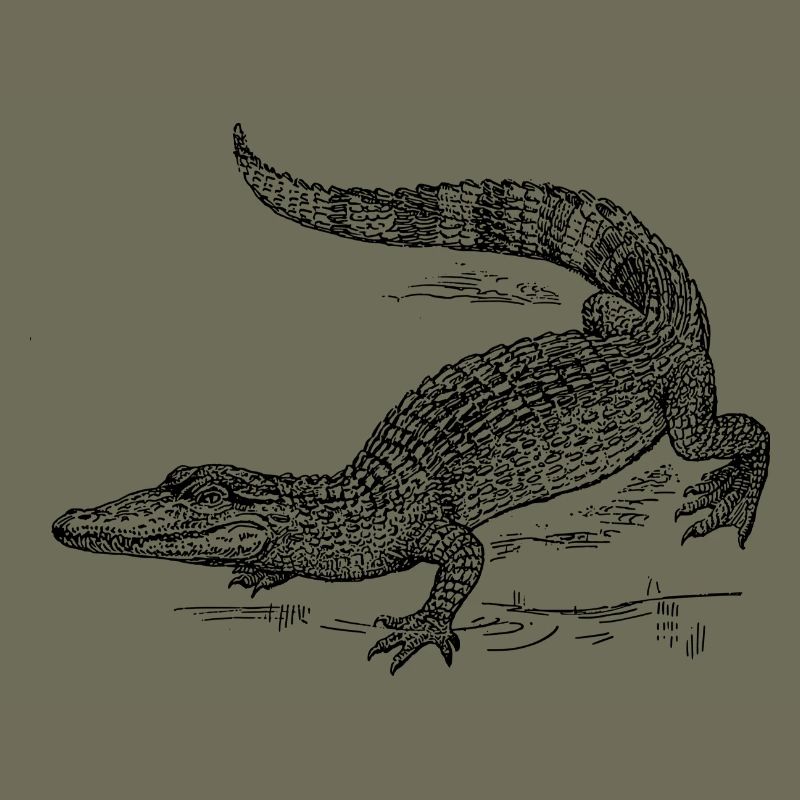 kroko 58