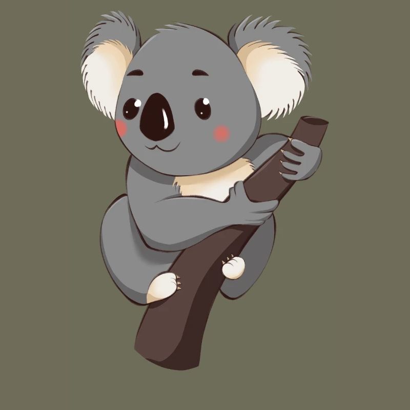 Koala
